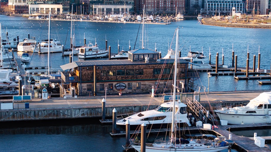Why is a rich doctor making his South Baltimore marina go bust?
