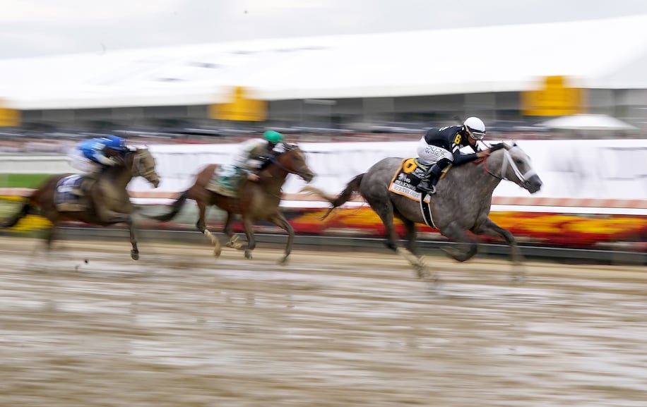 Why are Preakness racehorses such good athletes? Their ancestors didn’t want to get eaten.
